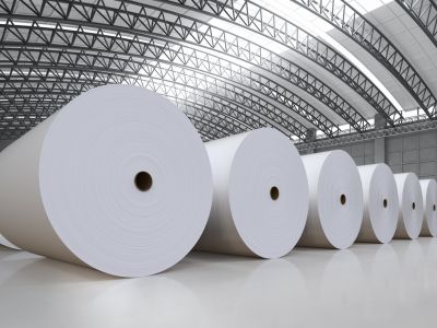 Paper & Pulp Industry India